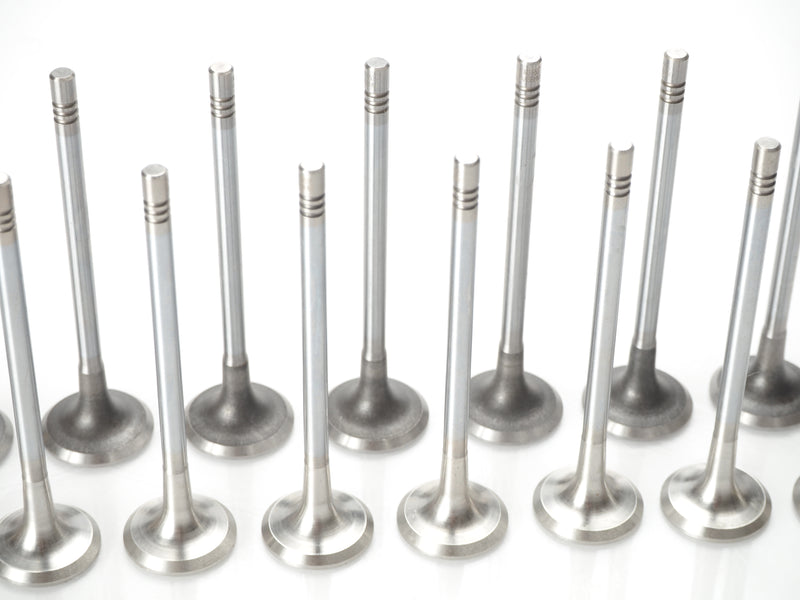 16PCS Intake and Exhaust Valves for Jaguar F-Pace XF XE 2.0L Ingenium Diesel Engines