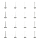 2010-2015 Jaguar Intake Valve Set 16 PCS AJ133 5.0L V8 N/A