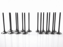 2012-2017 Land Rover 2.0L 204PT Turbo intake and exhaust valve set 16PCS OE replacement LR025301 LR030370