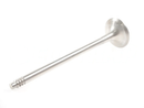 BMW N20 N26 2.0L turbo exhaust valve set for compatible 320i, 328i, 428i and 528i models, OE