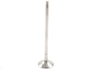 Aftermarket BMW N20 N26 2.0L turbo engine exhaust valve, OE