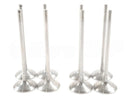 8-piece BMW N20 N26 2.0L turbo engine intake valve set, aftermarket OE-quality replacement 11347641075, 11347583777.