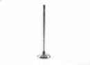 AMG M176 M177 4.0L V8 Engine Intake Valves 16PCS, fits C63 AMG, GLE 63 AMG S, GLS 63 AMG, AMG GT, OE 1770530000