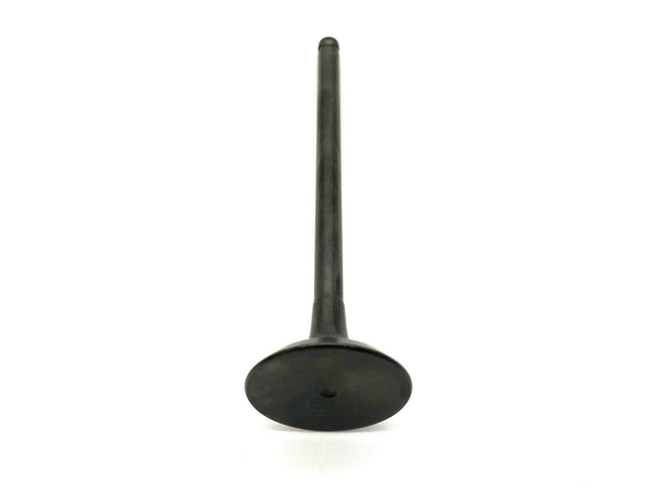2013-2021 Jaguar Exhaust Valve 12PCS - AJ126 3.0L V6 S/C – (C2Z29182)