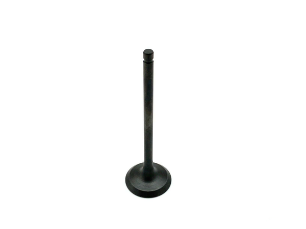 2010-2023 Jaguar Exhaust Valve  for AJ133 5.0L V8