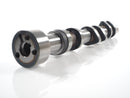 High Quality Intake Camshaft for 2014-2020 Range Rover Sport Discovery AJ126 V6 OE