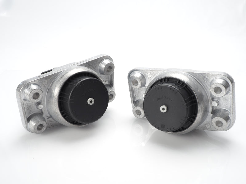 Land Rover Engine Mounts for Range Rover, Discovery - Left & Right Motor Mounts LR056882