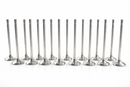 2015-2025 Mercedes AMG M176/M177 4.0L V8 Intake Valve Set 16PCS OE 1770530000, C63 S580 GLE GLS AMG GT