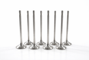 2015-2025 Mercedes AMG M176 M177 4.0L V8 Intake Valve Set 8PCS OE 1770530000 for S 580, GLE 63 AMG®