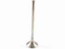 Porsche 2.9L V6 Turbo TFSI EA839 engine exhaust valve replacement OE